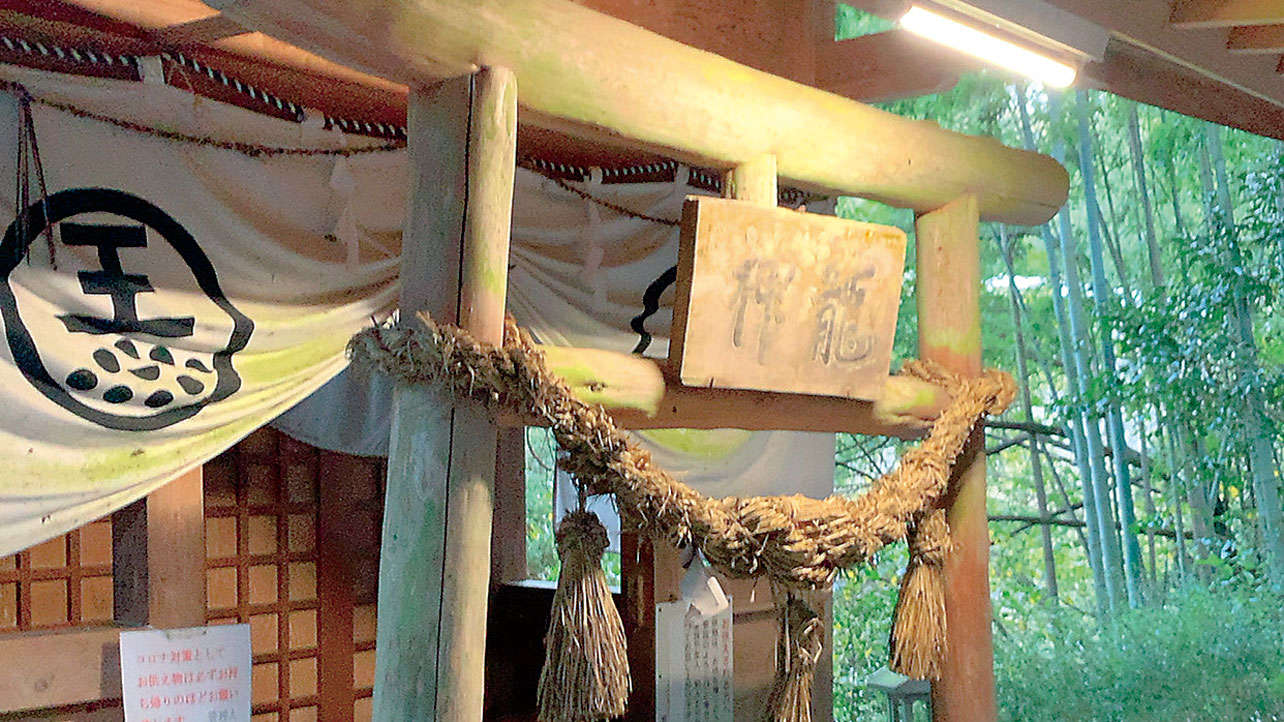 鳥居をくぐると別世界！強力なパワースポット「神龍八大龍王神社」（熊本県）【龍がいる神社】 0702jinja_all_r7-95-1.jpg