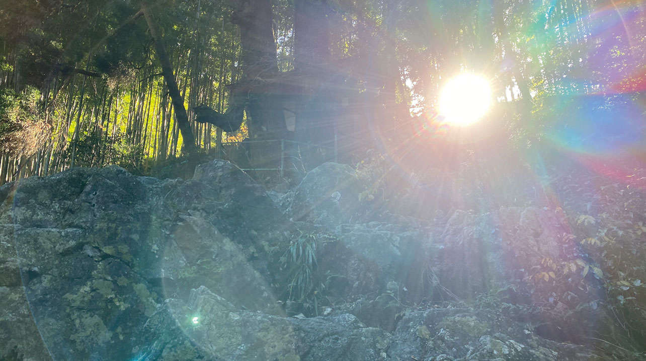 鳥居をくぐると別世界！強力なパワースポット「神龍八大龍王神社」（熊本県）【龍がいる神社】 0703jinja_all_r7-95-2.jpg