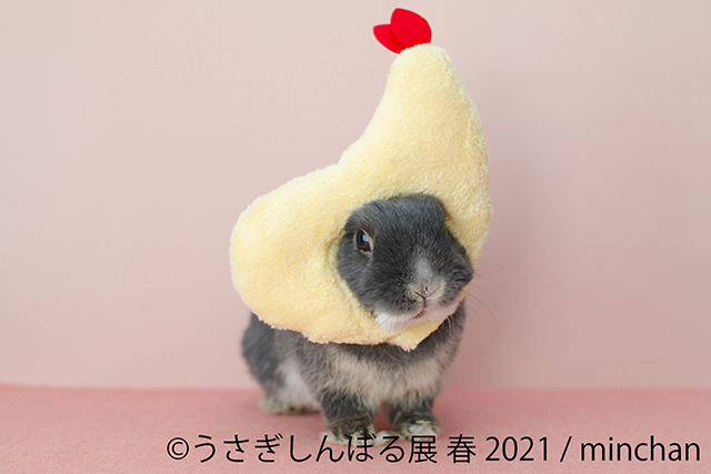 癒しのうさぎ写真がいっぱい！ 「うさぎしんぼる展」に見るかわいすぎるうさぎたちの姿 09.jpg