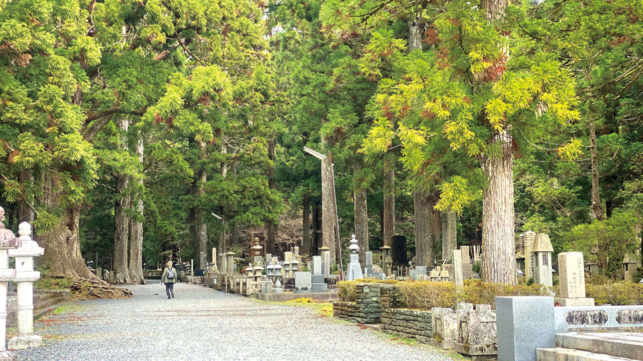 龍が見えるようになる⁉ 龍神パワーを感じる特別な場所「高野山金剛峯寺・奥之院」（和歌山県） 1002jinja_all_r7-104-1.jpg