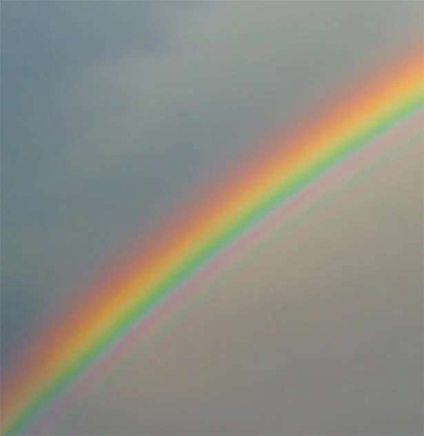 「虹のふもとは永遠にたどり着けない」理由を気象の専門家・荒木健太郎さんが解説 12897646_615.jpg