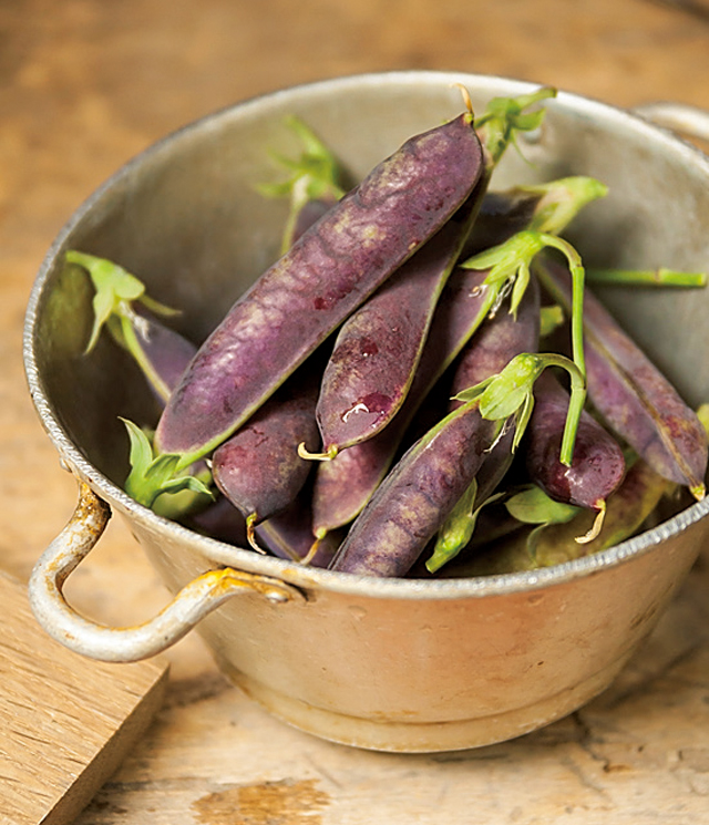 紫えんどうで作る、紫色の豆ご飯。ガーデナー・水谷昭美さんの春色ご飯 1804p010_05.jpg