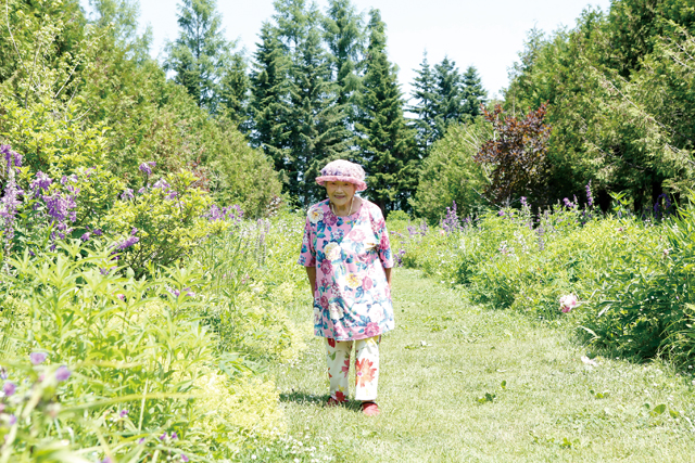 肥料や農薬は一切使いません。水もあげないのが私の庭／紫竹おばあちゃんの花と毎日 1804p072_02.jpg