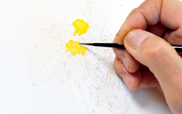 はじめて描く人へ。玉村豊男さんが教える「花の水彩画」レッスン 1810p070_01.jpg