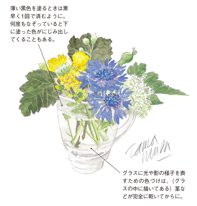 はじめて描く人へ 玉村豊男さんが教える 花の水彩画 レッスン 毎日が発見ネット