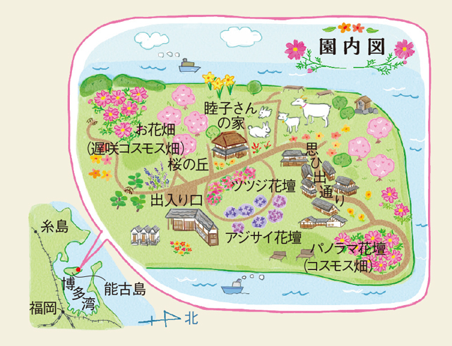 九州・能古島の「花咲かおばあちゃん」が教える「花のある暮らし」 1909p058_6.jpg
