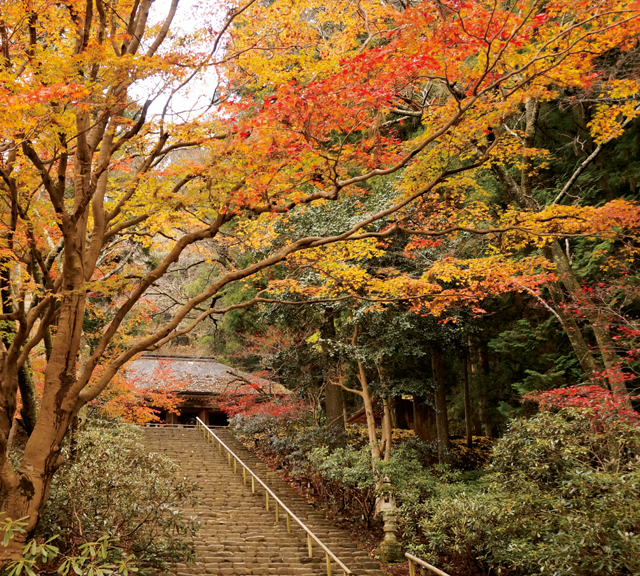 茜色の山岳寺院に息をのむ。「森の案内人」が教える、奈良極上の紅葉スポット 1910p010_01.jpg