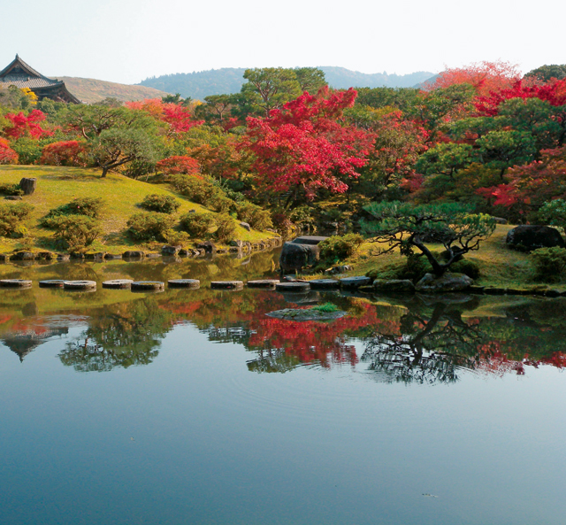 茜色の山岳寺院に息をのむ。「森の案内人」が教える、奈良極上の紅葉スポット 1910p011_01.jpg