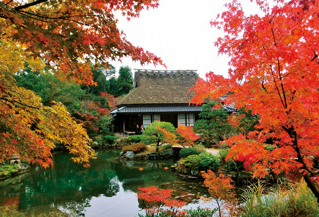 茜色の山岳寺院に息をのむ。「森の案内人」が教える、奈良極上の紅葉スポット 1910p011_02.jpg