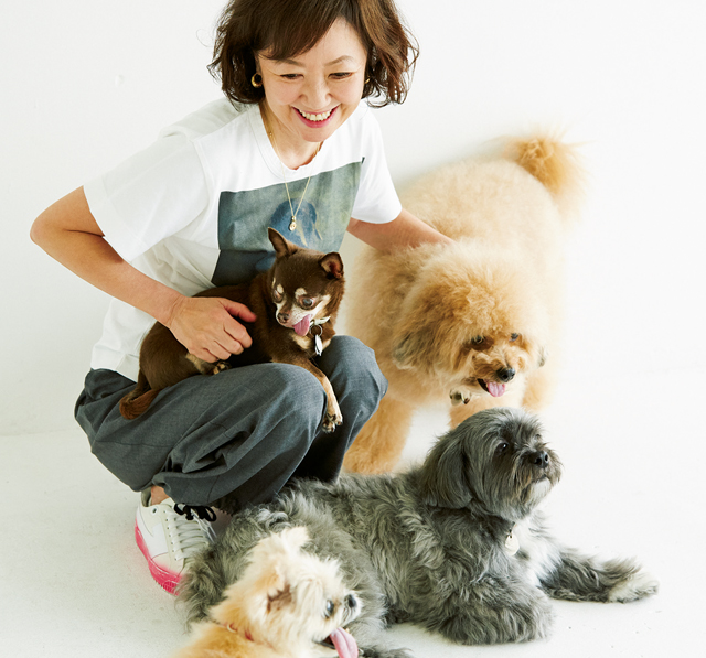 コロナの自粛期間も、愛犬の存在が助けに。浅田美代子さんが語る「4頭の保護犬との暮らし」 2010_P061_03.jpg
