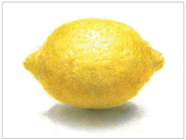 紙と鉛筆を用意して♪　『プレバト！！』出演の画家・野村重存先生が教える「レモンの描き方」 2102_P061_02.jpg