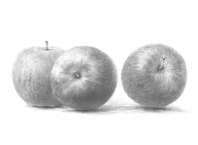鉛筆だけでも本格的な「りんご」に！　『プレバト！！』出演、画家・野村重存先生の「スケッチ入門」 2103_P076_05.jpg