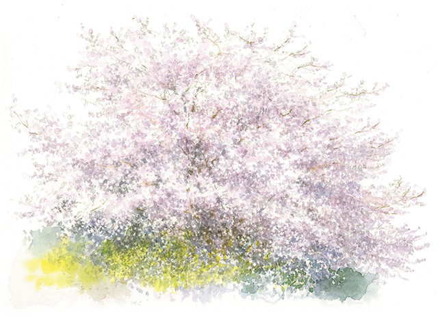 楽しく上達♪ 「プレバト！！」出演の画家・野村重存さんが教える鉛筆スケッチ入門「桜」の描き方 2105_P073_02.jpg