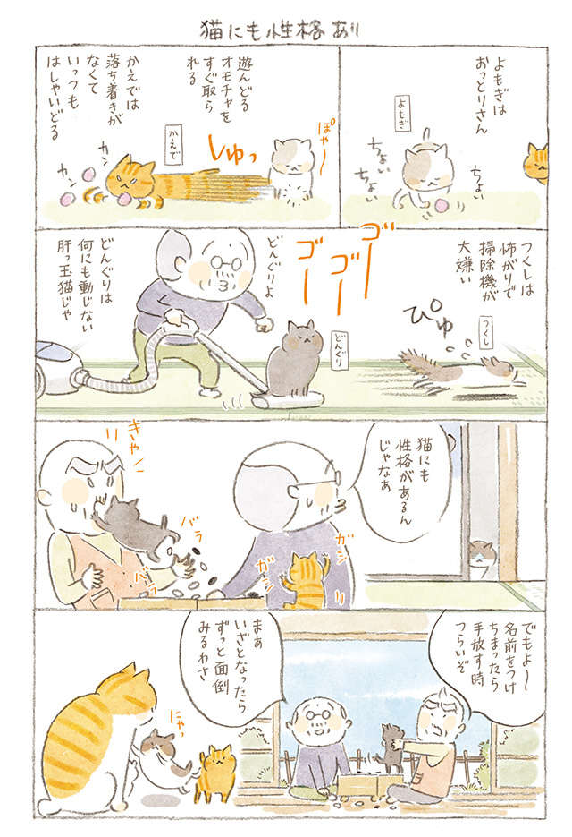猫にも性格あり／「ねことじいちゃん」（第95回） 2212_P143_01.jpg