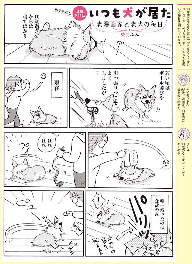 パリッ！ 10歳を過ぎてから寝てばかりの愛犬が、目を輝かせて飛んでくる「音」【柴門ふみさん描きおろし「いつも犬が居た」】 2505_P118.jpg