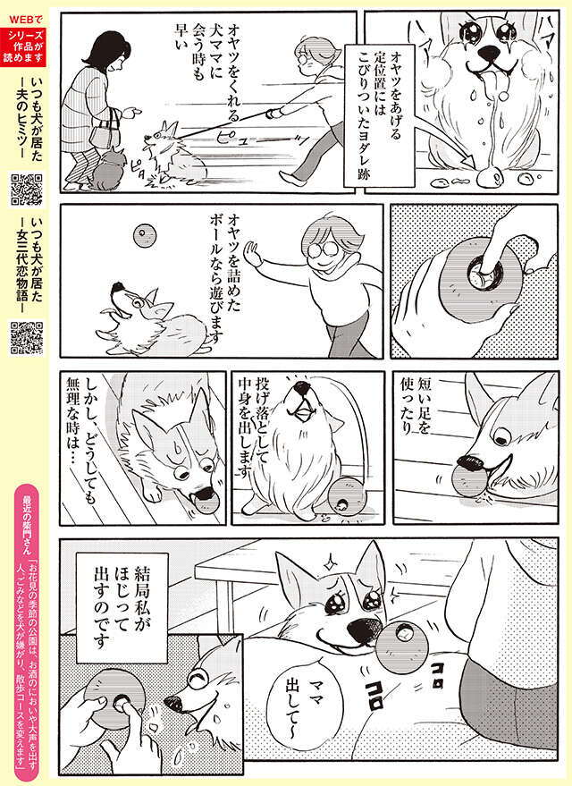 パリッ！ 10歳を過ぎてから寝てばかりの愛犬が、目を輝かせて飛んでくる「音」【柴門ふみさん描きおろし「いつも犬が居た」】 2505_P119.jpg