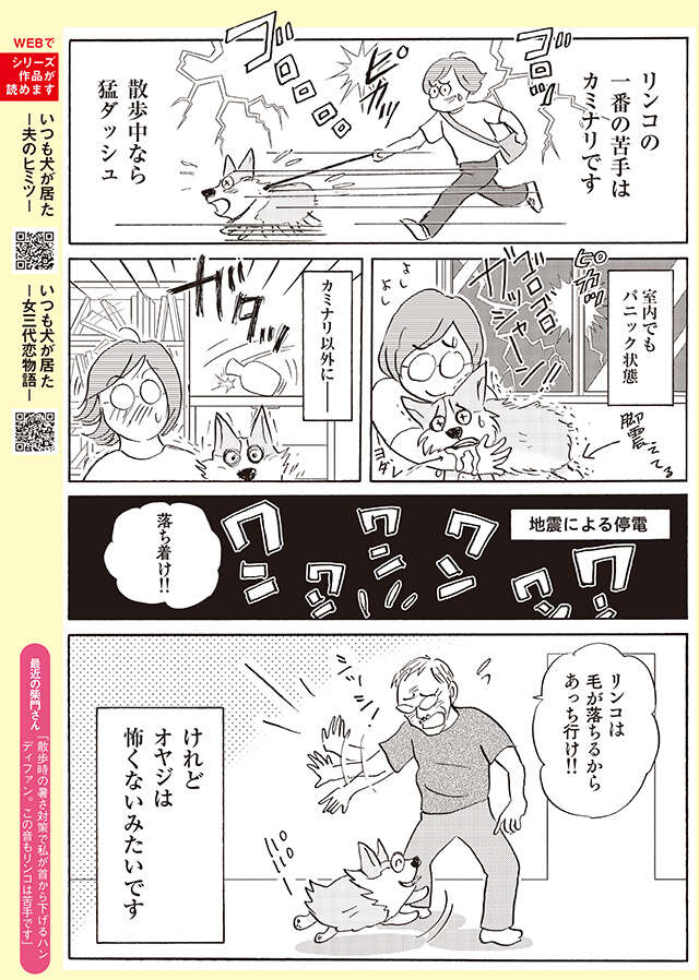 地震・カミナリ...オヤジはOK？ うちのワンコの怖いもの【柴門ふみさん描きおろし「いつも犬が居た」】 2509_P115.jpg