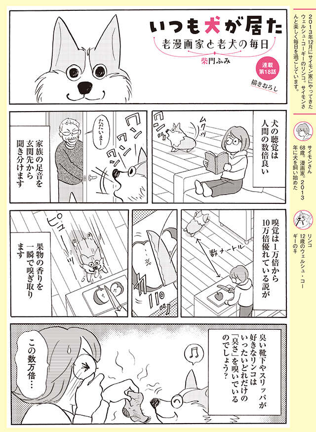 12歳の愛犬。嗅覚は変わらずでも聴覚は弱って来たかと思ったら...⁉【柴門ふみさん描きおろし「いつも犬が居た」】 2512_P154.jpg