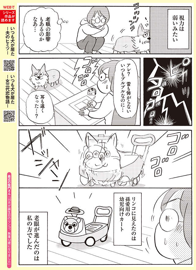 12歳の愛犬。嗅覚は変わらずでも聴覚は弱って来たかと思ったら...⁉【柴門ふみさん描きおろし「いつも犬が居た」】 2512_P155.jpg