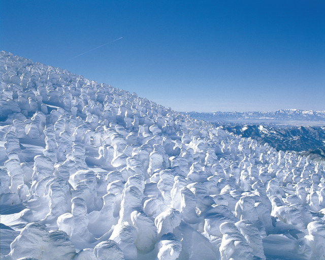 まるで別世界！　自然が作り出す芸術の世界〝霧氷〟を見に行きましょう P4-7莉雁捷縺ｮ逋ｺ隕・1712p004_01.jpg