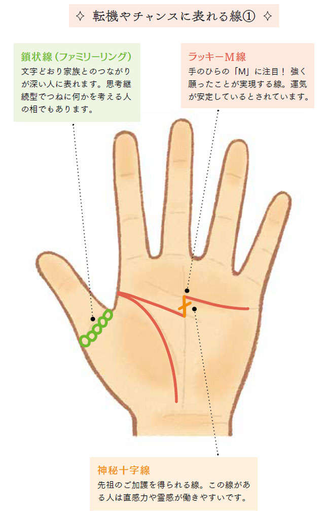 手相でこれが見つかるとラッキー！「運勢のポイント」となる線【歴24年の人気手相占い師が解説】 05.jpg