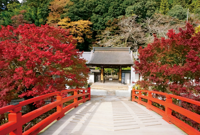 茜色の山岳寺院に息をのむ。「森の案内人」が教える、奈良極上の紅葉スポット 1910p010_02.jpg