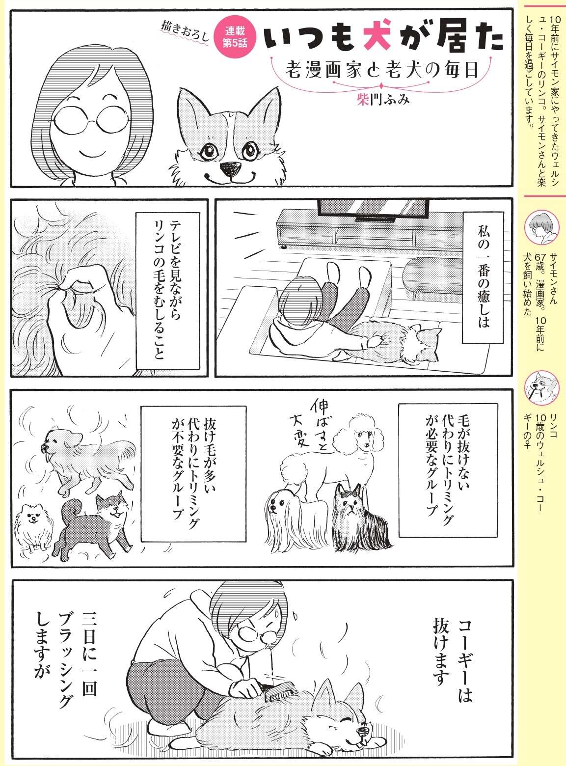 【柴門ふみさん描きおろし！「いつも犬が居た」】抜け毛が多いウェルシュ・コーギーならではの意外な「癒し」 1.jpg