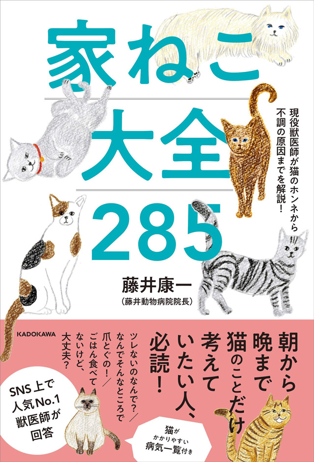 ご存じですか 猫が 段ボールの中に入っちゃう 理由 家ねこ大全 2 毎日が発見ネット