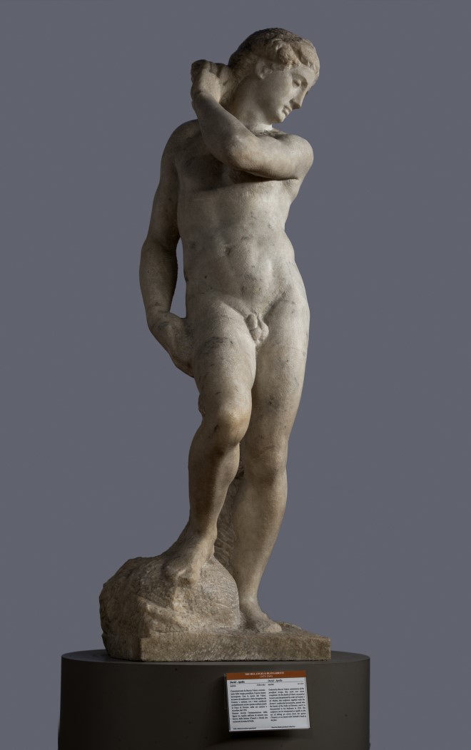 ミケランジェロの傑作《若き洗礼者ヨハネ》《ダヴィデ=アポロ》が初来日！「ミケランジェロと理想の身体」開催 01_ダヴィデ=アポロ.jpg