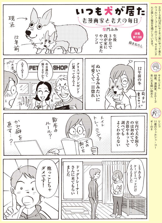抱っこしちゃダメ⁉ 生後3カ月でやってきた子犬の飼い方は？【柴門ふみさん描きおろし「いつも犬が居た」】 2507_P126_1.jpg