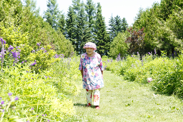 北海道 帯広に坪の庭を持つ90歳 紫竹おばあちゃん 花咲く野原を夢見ています 毎日が発見ネット