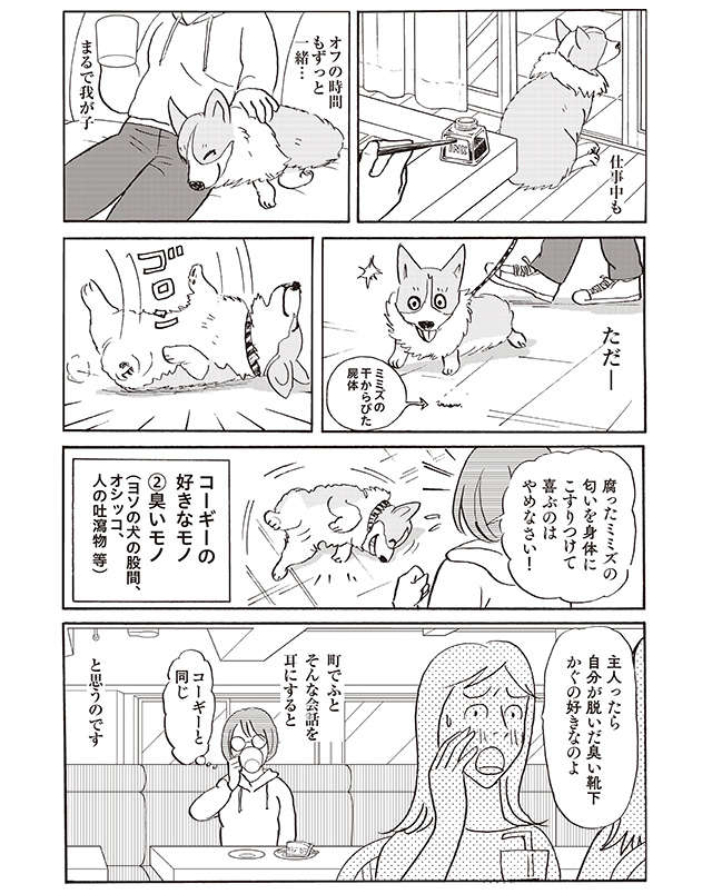 柴門ふみさん描きおろし連載スタート！ 愛犬との日々を綴る『いつも犬が居た』 2407_P103_01.jpg