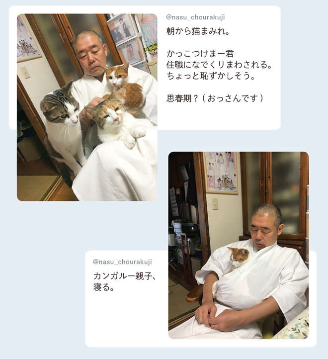ありがたや～！ お寺に暮らす猫たち「てらねこ」の日常生活をちょっとのぞき見 1.jpg