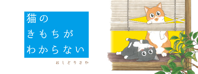 誘われて触り放題！そんな至福の時を中断するものは...／猫のきもちがわからない（６） davinch640_240.jpg