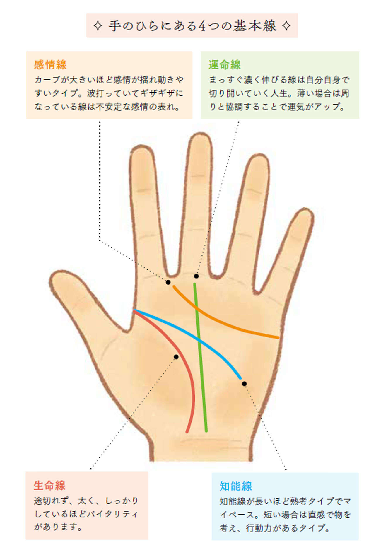 手相の約8割の情報がここに！まずは理解したい4つの基本線【人気手相占い師が解説】 名称未設定-1.jpg