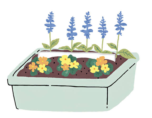春は種まきの季節！ 野菜と草花、「プランター」での育て方、収穫の仕方