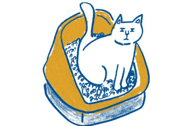 サイズは？　猫砂の量は？　獣医師が教える「猫にとって理想のトイレ」／家ねこ大全（15） ieneko_110.jpg
