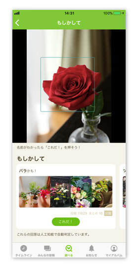 花や植物の名前がすぐ分かる！ 写真を撮ると詳しい人が全力で教えてくれるアプリ img_step04.jpg