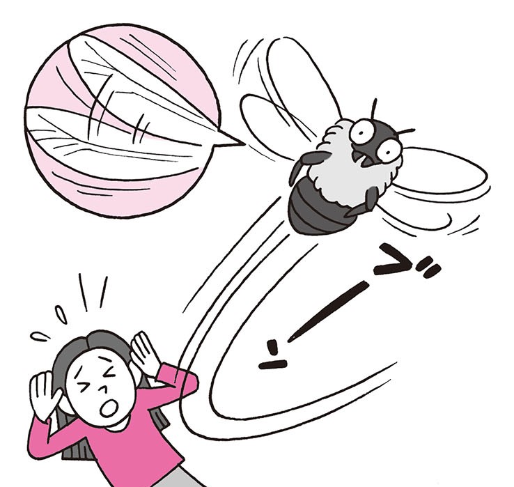 毎秒250回！ ハチが高速で羽ばたけるのは筋肉の伸縮のおかげ／身近な科学 p030.jpg