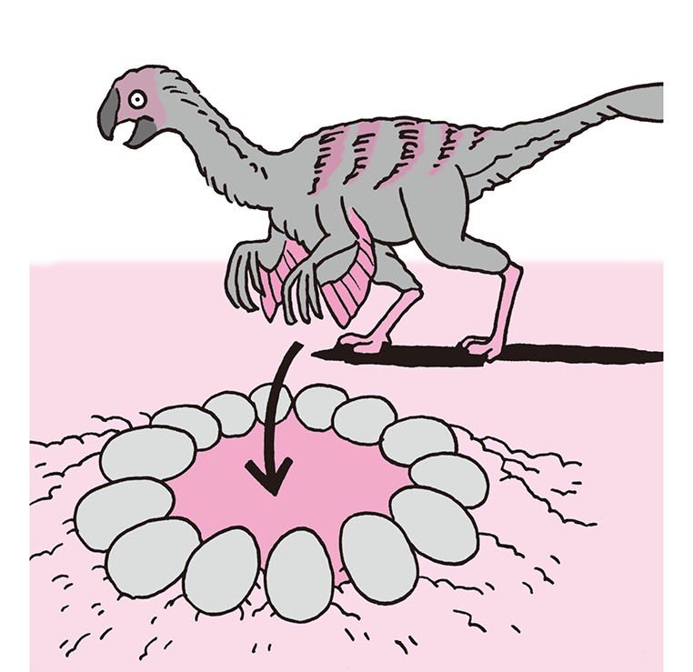 並んだ卵に見るママ恐竜の愛 2トンの巨体でも抱卵できるのはなぜ 身近な科学 毎日が発見ネット