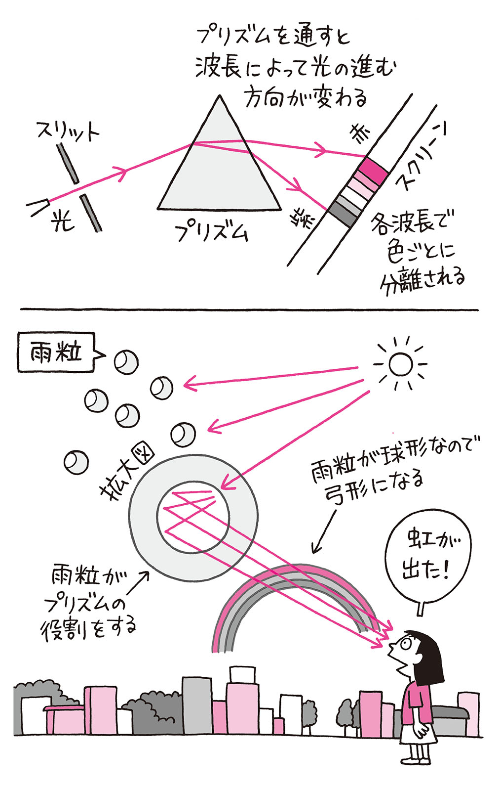 5色？それとも7色？ 雨粒の「プリズム」が生み出す虹の色合い／身近な科学 p179.jpg