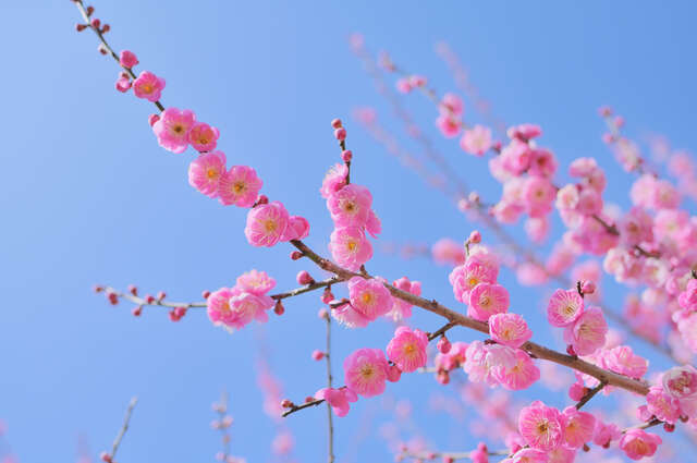 【2026年「一白水星」の人の運勢】家族の絆が支えに!孤独を脱ぎ捨て、心身を癒やす一年 pixta_114508811_S.jpg