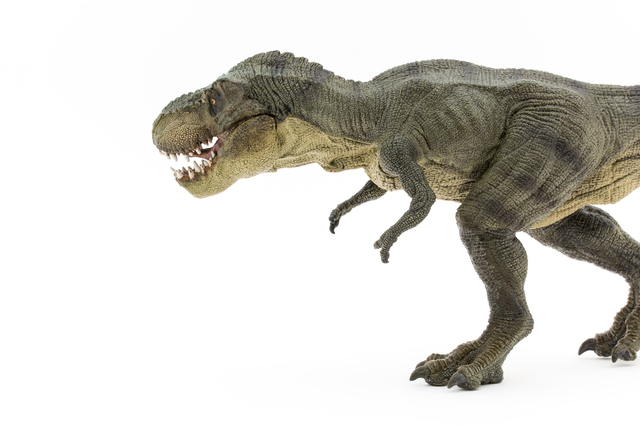 恐竜の王者ティラノサウルスは俊足ではなかった !?／地球の雑学 pixta_18868150_S.jpg
