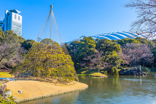 1分間英語でTokyo案内「日本庭園で重要な存在となるのが水です」 pixta_37748886_S.jpg