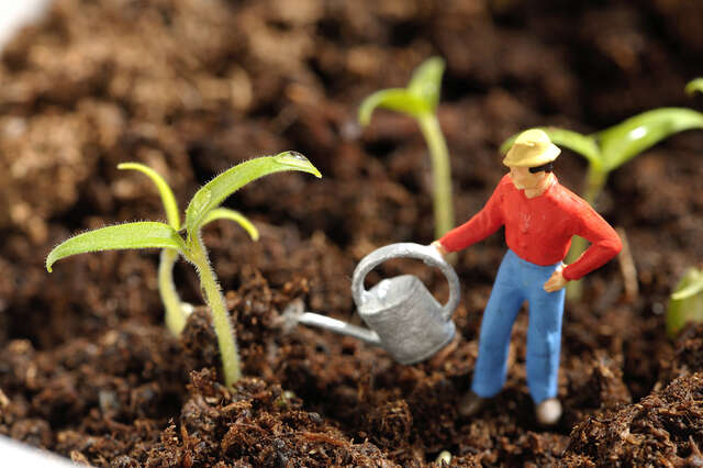 【2026年「四緑木星」の人の運勢】運勢のブレーキを成長の糧に変える秘訣 pixta_38116960_S.jpg