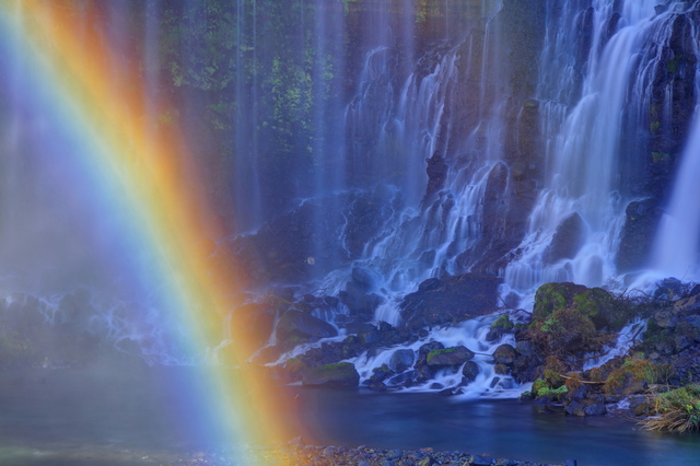 5色？それとも7色？ 雨粒の「プリズム」が生み出す虹の色合い／身近な科学 pixta_45858245_S.jpg