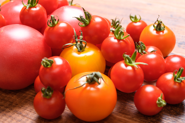 味と形のいいとこ取り！ スーパーに並ぶ野菜は純系2種のハイブリッド／身近な科学 tomato.jpg
