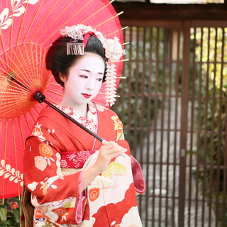 実は生活スタイルが異なる 京都の花街を彩る 舞妓 と 芸妓 の違い 毎日が発見ネット