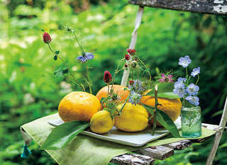 人気ガーデナー・水谷昭美さんの暮らしを拝見！「春の庭には百花百色、こころときめく季節です」