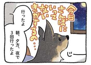 ああ、平和だ...愛犬の散歩おねだりに負けた夜と穏やかな犬友たちとの1日／ドベとノラ2